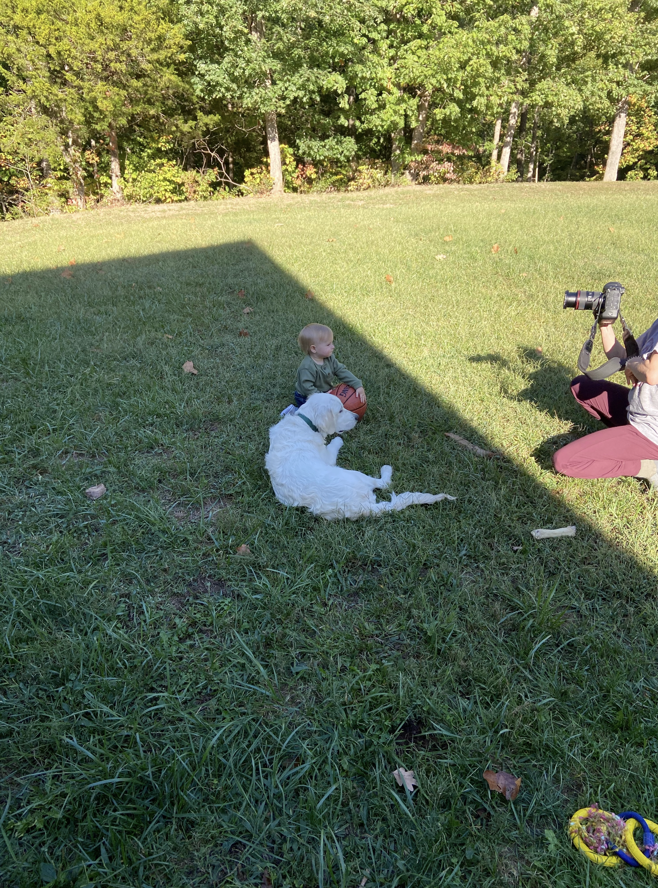 Leo playing in the backyard