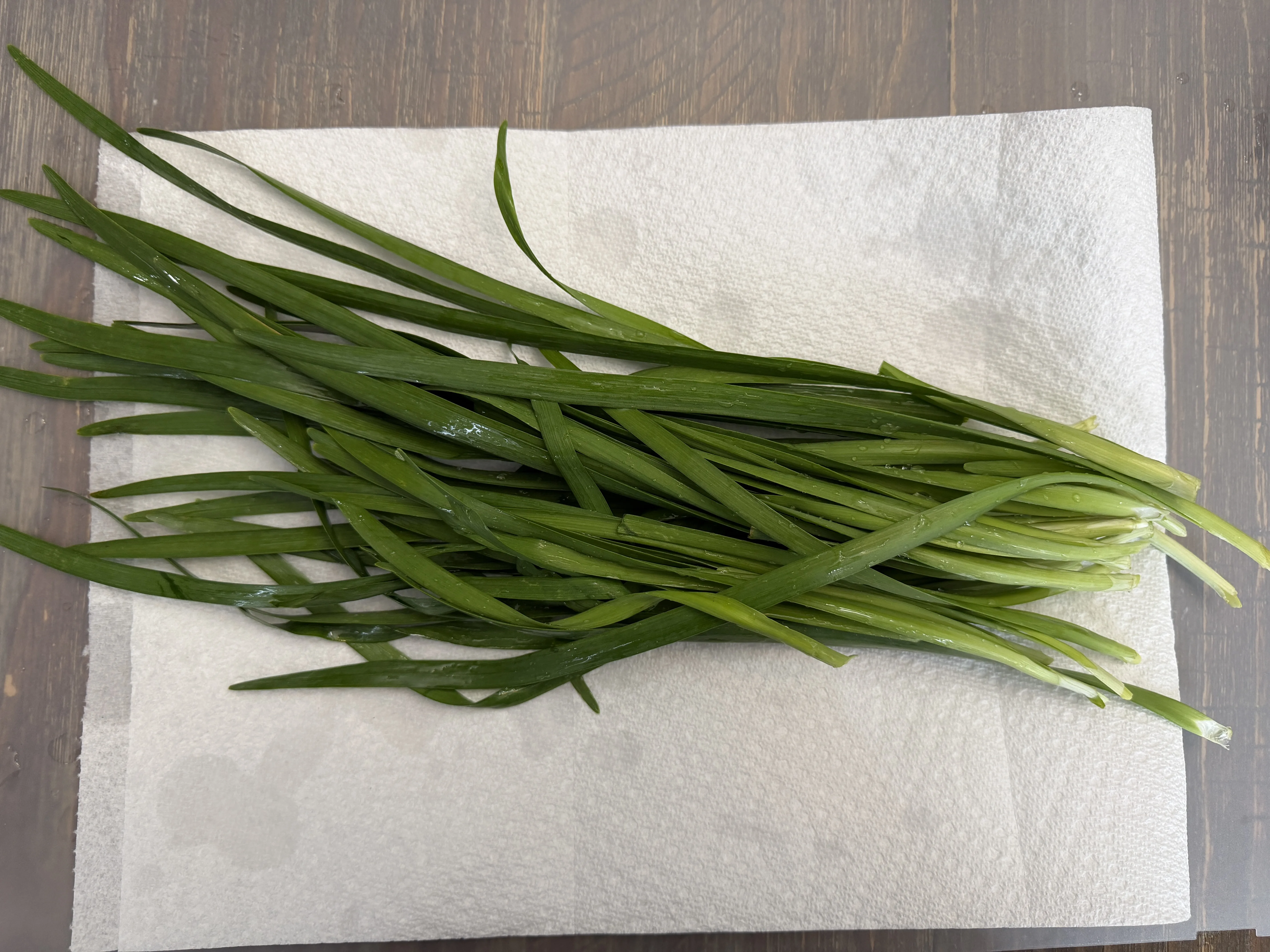 Fresh Chinese garlic chives washed and drying on paper towels